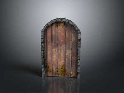 Moss Covered Old Wooden Door With Stone Frame And Vintage Design 3d model