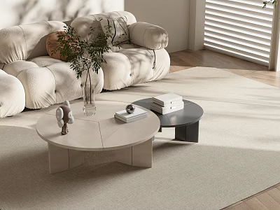 Minimalist Coffee Tables With Cream Sofa Plant Books On Light Rug 3d model