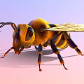 Vibrant Yellow And Black Bee With Transparent Wings On Soft Pink Background