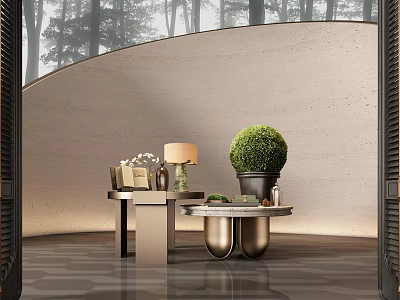 Elegant Console Table With Green Plant Lamp Books In Curved Wall Forest Gray Marble Floor 3d model