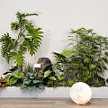 Bonsai Potted Plants With Various Greenery Rock Accent And Moon Lamp Lighting