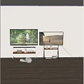 Two TVs On Wheeled Stands Display Scenery With Books And Decorative Items