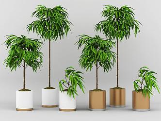 potted plant 3d model