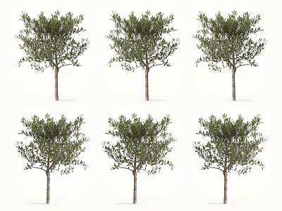 Multiple Arbor Trees Featuring Lush Green Foliage And Straight Trunks In Neat Arrangement 3d model