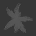 Tropical Palm Tree With Green Fronds And Slim Trunk Against Dark Background
