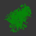 Green Leafy Bush With Multiple Trunks Against White Background And Shadow