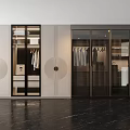 Modern Wardrobe Interior With Glass Doors Built-in Lighting And Storage Design
