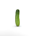 Vegetable cucumber 3d model