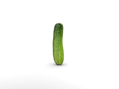 Vegetable cucumber 3d model