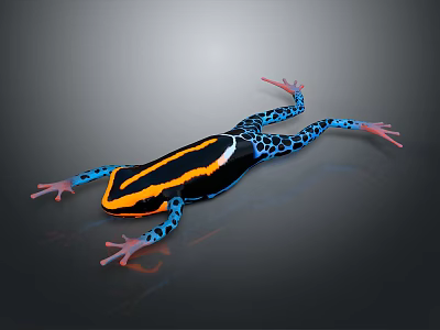Vibrant Poison Dart Frog with Black Orange Yellow Stripes Blue Spotted Limbs on Gray Background 3d model