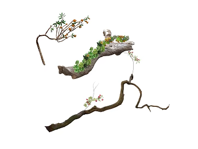 Natural Bonsai Plant with Driftwood Moss Small Flowers and Fruits for Decorative 3d model
