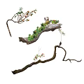 Natural Bonsai Plant with Driftwood Moss Small Flowers and Fruits for Decorative