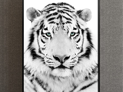 Nordic Animal Painting Black and White Children's Room Animal Tiger Decorative Painting model