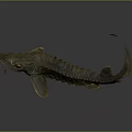 Ancient Aquatic Fish 3D Model Featuring Flat Head Broad Body Long Tail Yellow Scaly Texture 3d model