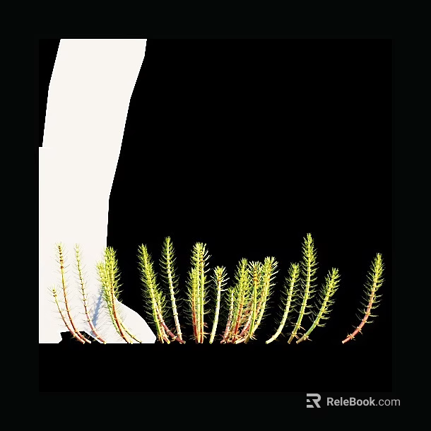 Vibrant Green Aquatic Plants With Slender Stems And Fresh Leaves In Natural Growth 3d model 