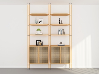 Modern Bookshelf 3d model