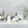 Elegant Bathroom Accessories with Bottles Reed Diffusers and Green Plant on Marble Countertop