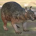 Brown Scaled Reptile With Claws And Erect Ears In Natural Environment