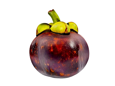 Fresh Ripe Mangosteen With Purple Skin And Green Stem On White Background 3d model