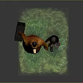 Little Girl Carrying Green Plants And Orange Bear With Black Hat Holding Briefcase On Grass