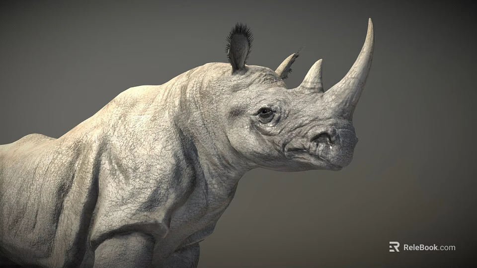Rhino Head Closeup With Textured Skin And Horns On Gray Background 3d model 