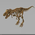 Complete Dinosaur Skeleton with Detailed Bone Structure on Black Background
