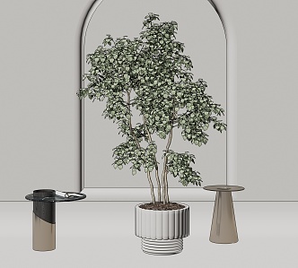 modern potted plant potted plant 3d model