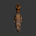 Adorable Brown Squirrel With Fluffy Tail Big Eyes Standing On Shiny Surface