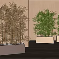 Bonsai Plants With Green And Brown Bamboo In Square Planters On Wooden Floor