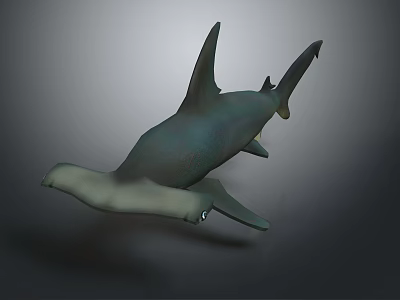 Lifelike 3D Shark Sculpture In Grayish Green With Floating Pose And Detailed Fins 3d model