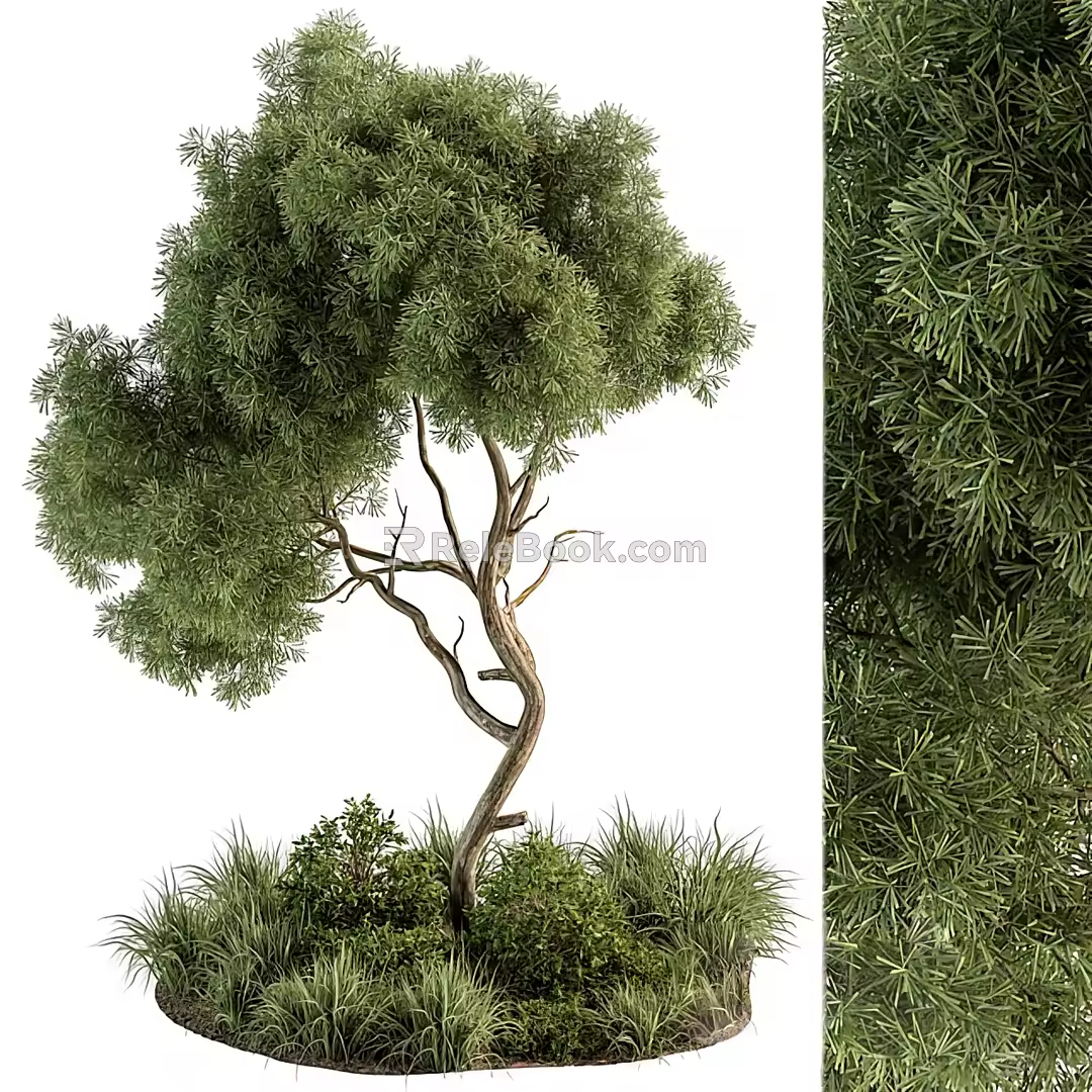 Modern Tree Plants 3d model
