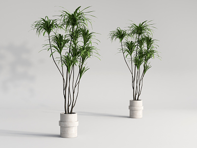 Modern Potted Plant model