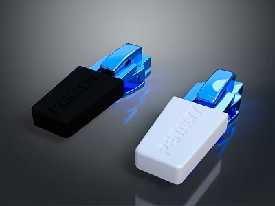 DELMAY Electrical Power Switches in Black and White with Blue Highlights 3d model