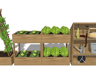 Wooden Planter Boxes With Fresh Leafy Greens And Garden Tools For Outdoor Gardening 3d model
