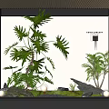 Indoor Landscape Design Featuring Green Plants Large Leaves Rocks Small Lights And White Wall