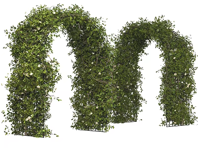 Green Vine Covered Outdoor Archways Decorated With White Flowers And Metal Frames 3d model