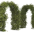 Green Vine Covered Outdoor Archways Decorated With White Flowers And Metal Frames
