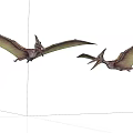 Prehistoric Flying Reptiles Pterosaurs Soaring High In Clear Sky With Broad Wings