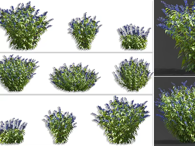 Various Blue Purple Flower Bushes With Vibrant Green Leaves And Natural Growth 3d model