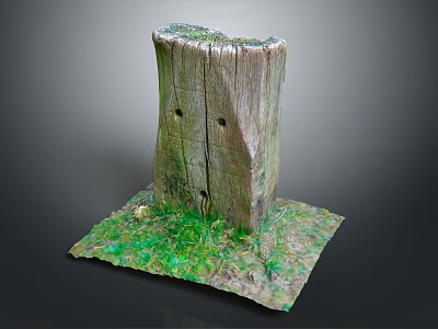 Natural Wooden Stone Stump Decorative Piece With Rustic Texture And Green Moss 3d model