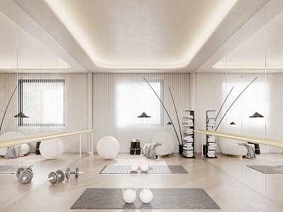 Bright Modern Fitness Studio With Equipment And Mirrors 3d model