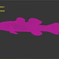 3D Rendered Fish with Brown Body Orange Dorsal Fin and Black Eyes