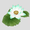 Fresh Light Green And White Lotus Flower With Blooming Petals And Lotus Leaves