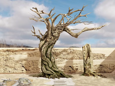 Ancient Tree With Thick Twisted Trunk And Branchy Structure Against Stone Wall And Cloudy Sky 3d model