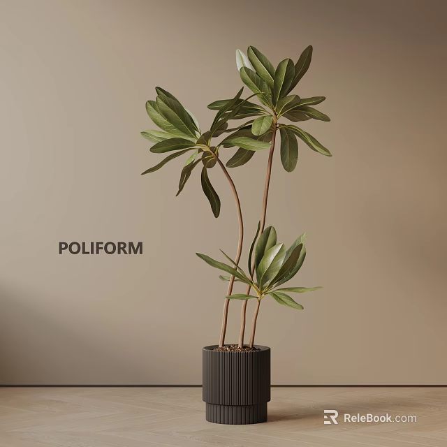 Potted Plant With Green Leaves And Brown Stems In Gray Cylindrical Pot By Poliform 3d model 
