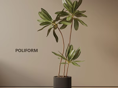 Potted Plant With Green Leaves And Brown Stems In Gray Cylindrical Pot By Poliform 3d model