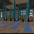 Yoga Studio Interior Featuring Blue Hammocks Yoga Mats Colorful Exercise Balls Wooden Floors And Plants