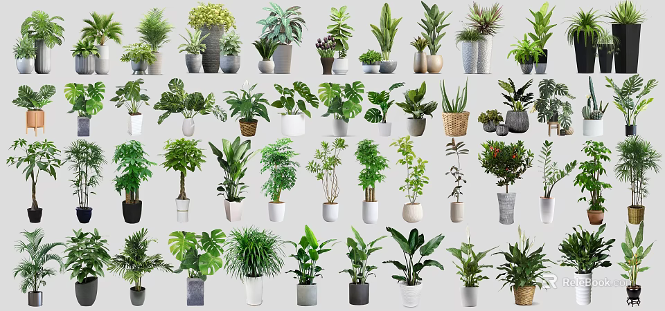 Bonsai and Potted Plants Collection With Various Green Foliage And Decorative Pots 3d model 