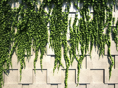 Lush Green Vines Hanging Over Exterior Stone Wall With Square Bricks 3d model