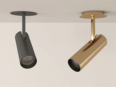 Stylish Modern Black And Gold Ceiling Mounted Downlights And Spotlights Fixtures 3d model